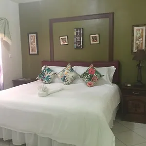 Guest house Casa De Fe, Montego Bay